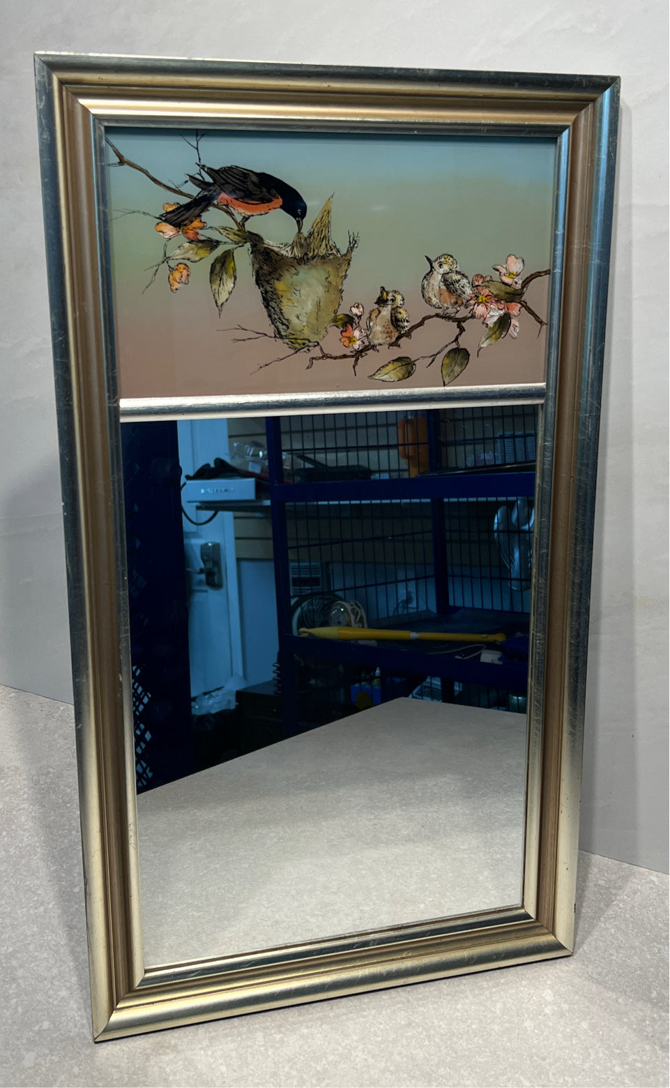 Bird Mirror