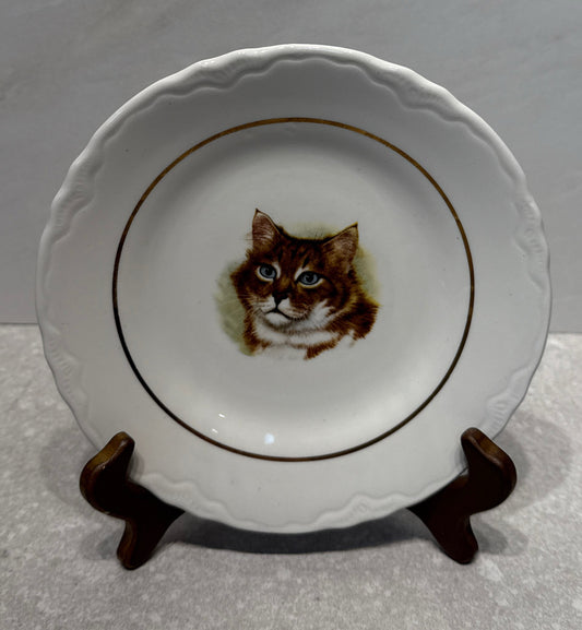 Decorativecat Plate