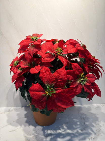 Christmas Floral
