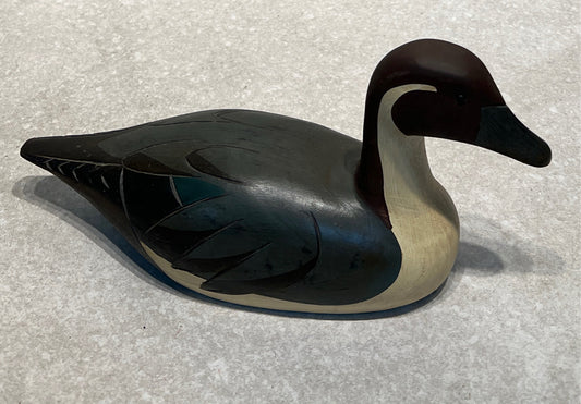 Duck