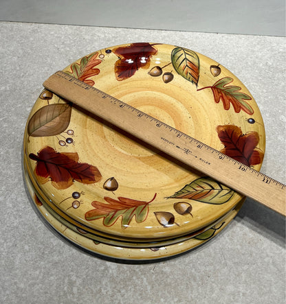 Set of 4 Dinner Plates