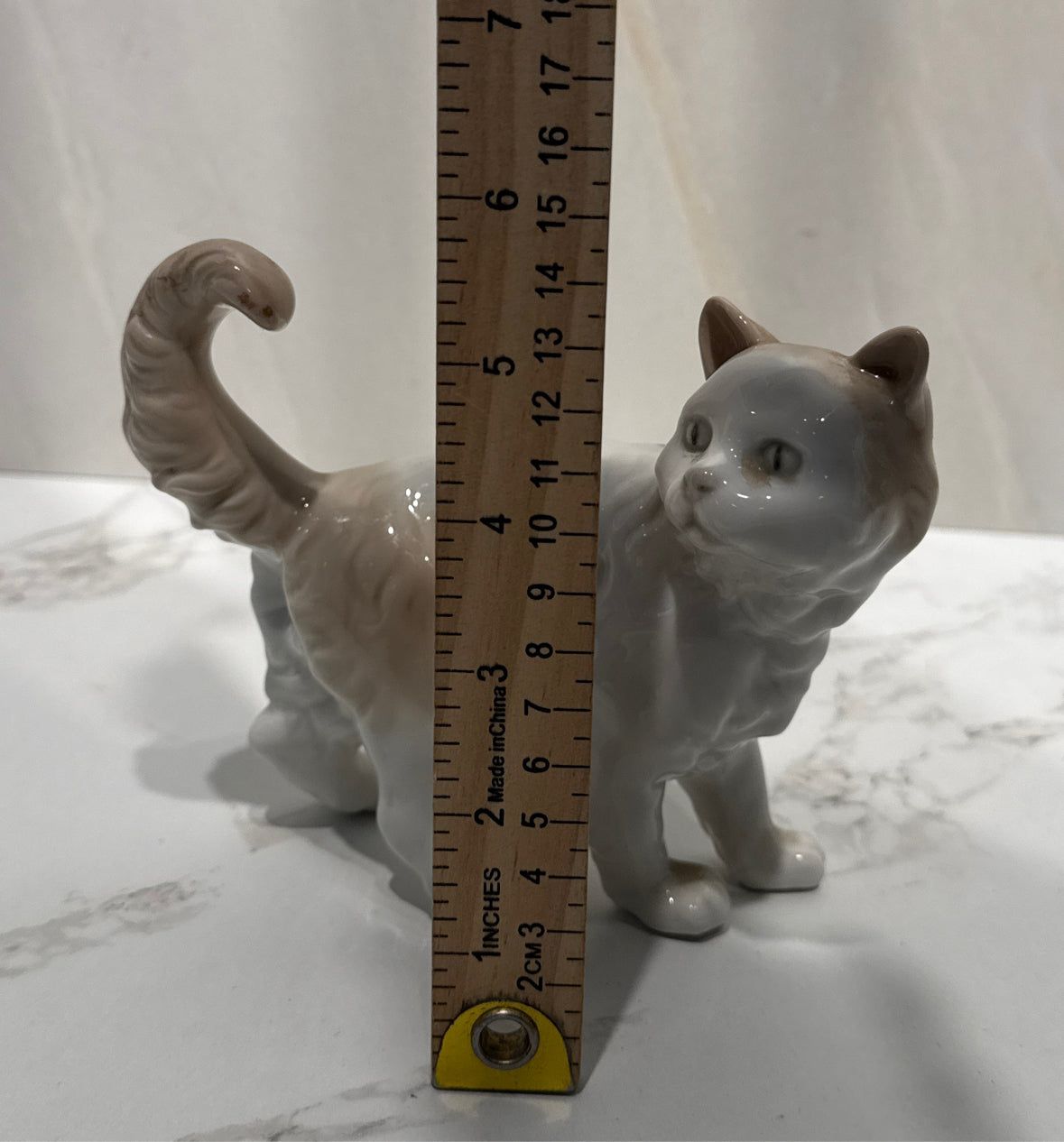 Nao Cat