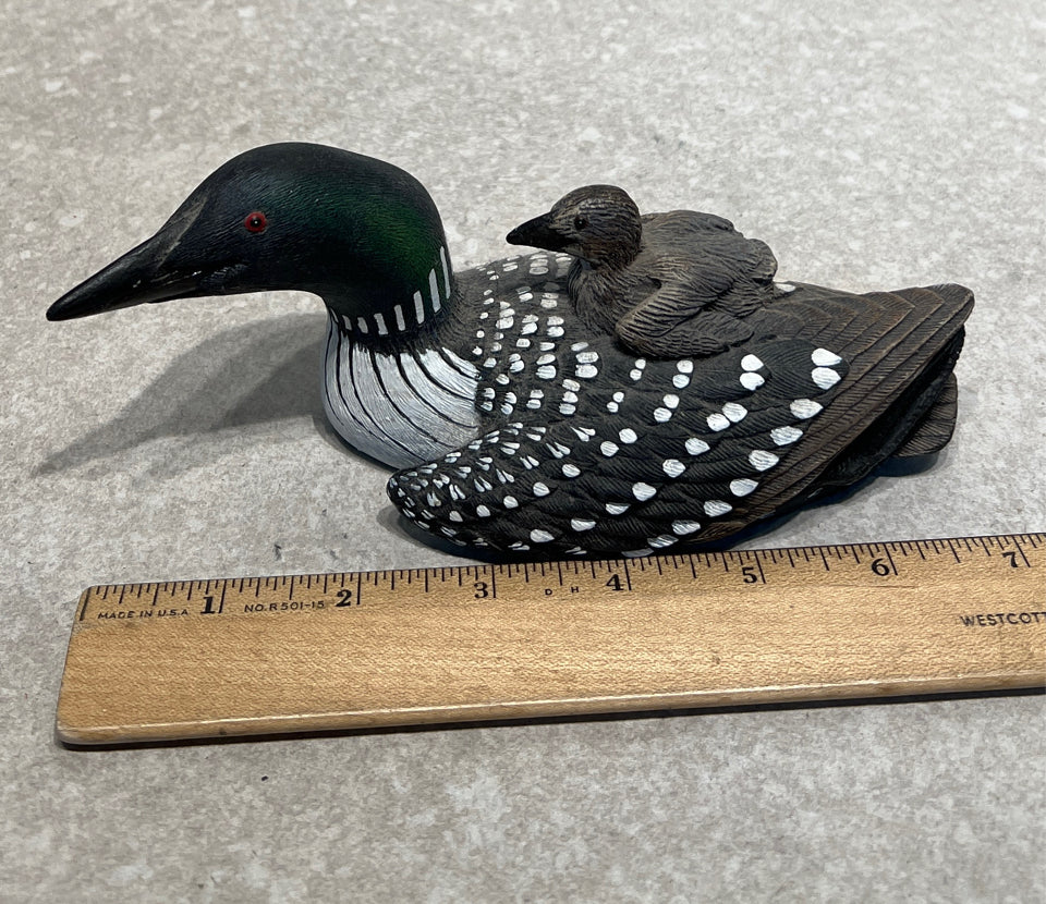Loon with Chick