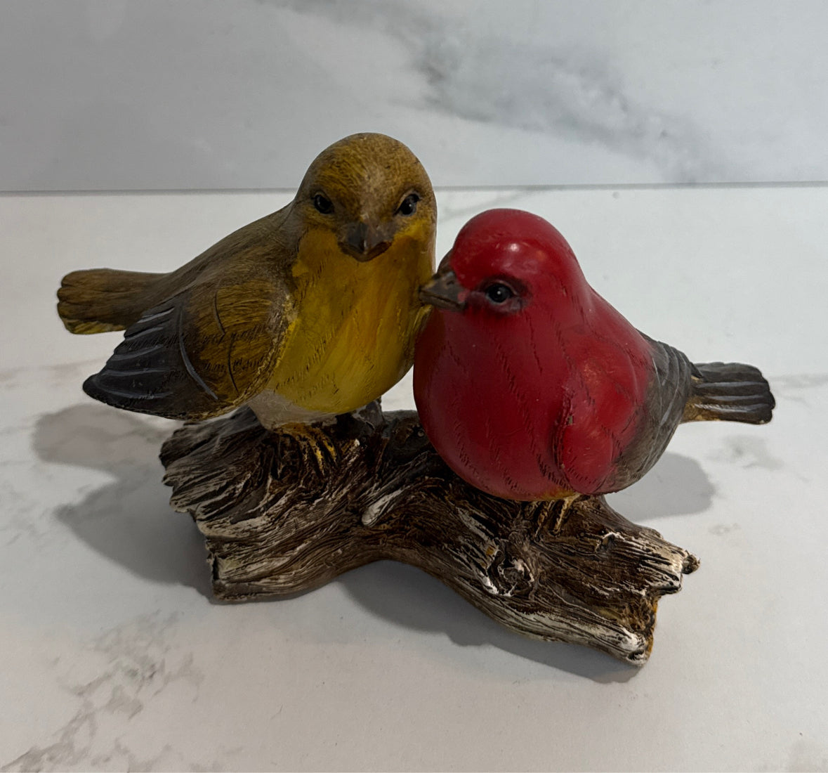 Birds