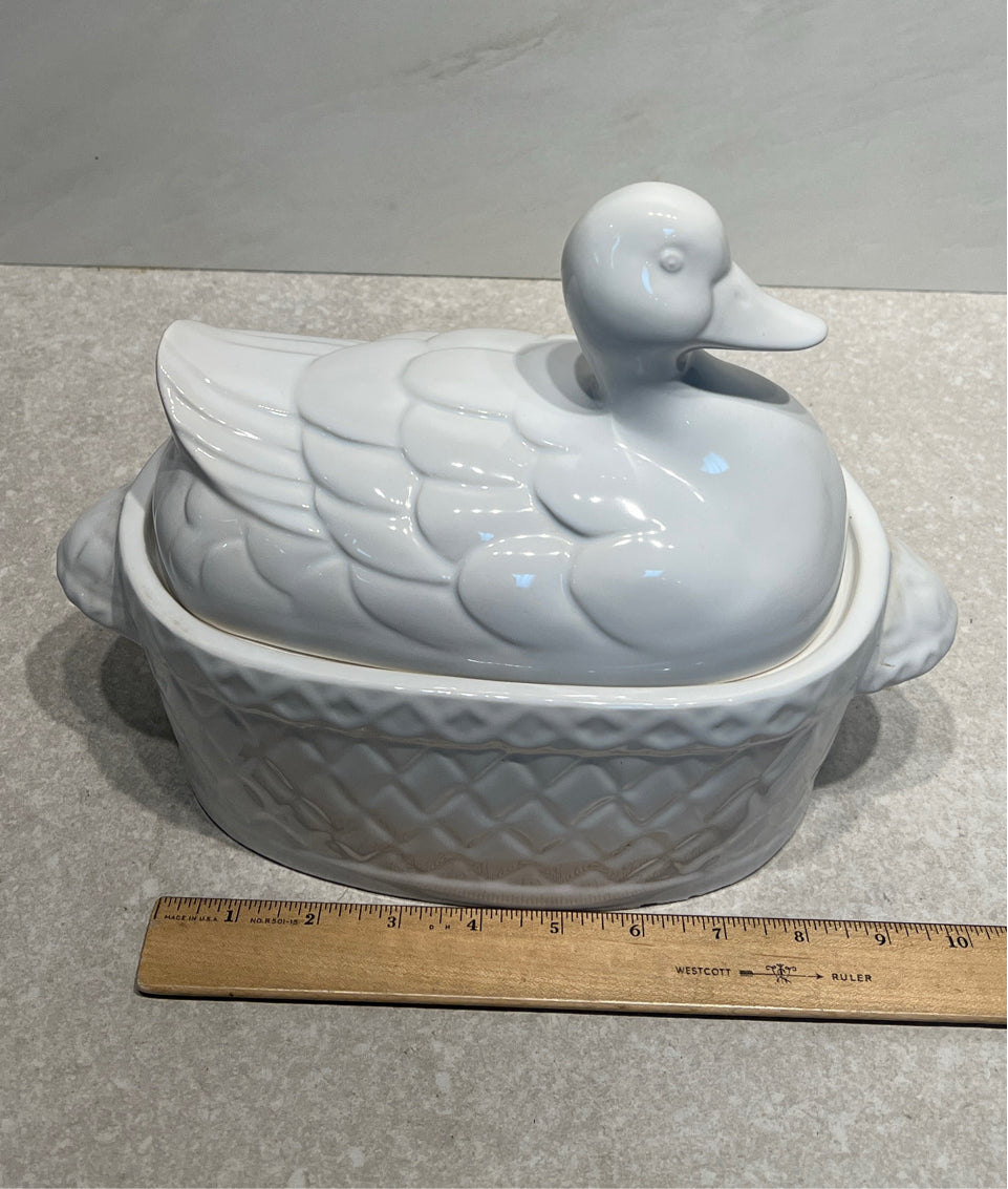 Covered Duck