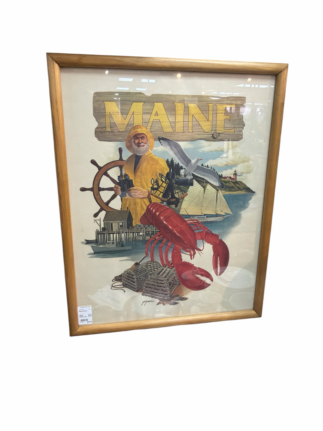 Maine Picture