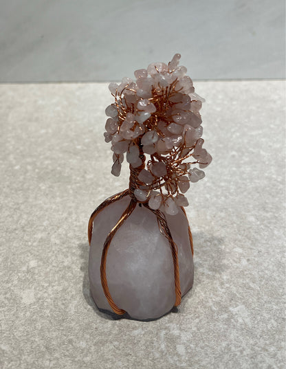 Rose Quartz Money Tree