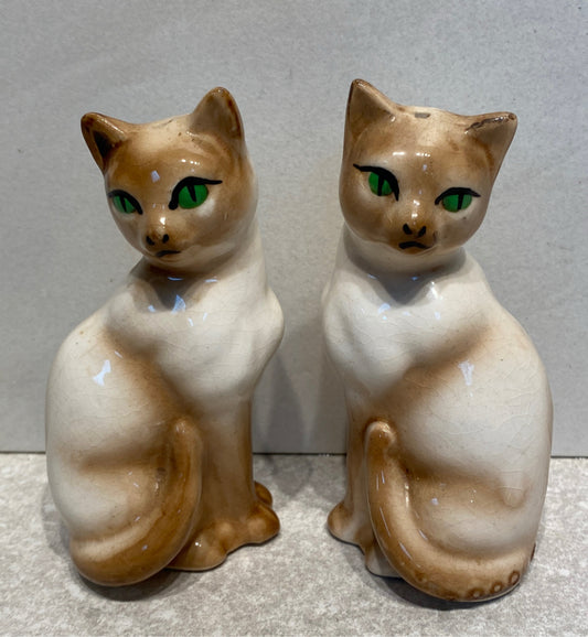 Cat S + P