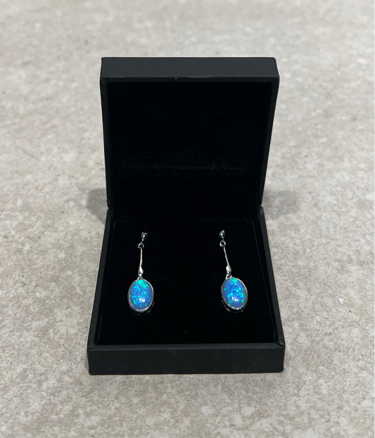Pul Wright Sterling Earrings
