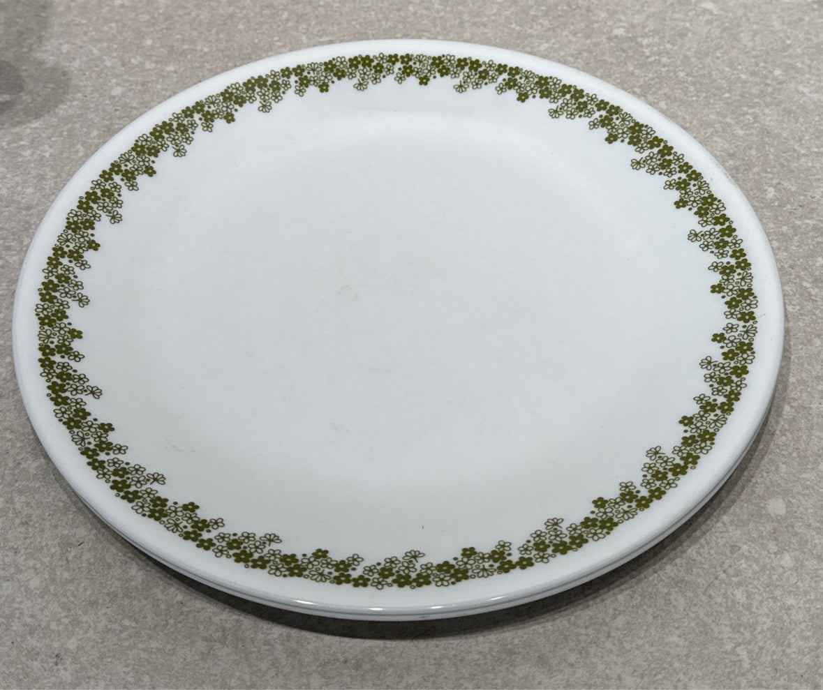 Set of 2 Corelle Dinner Plates