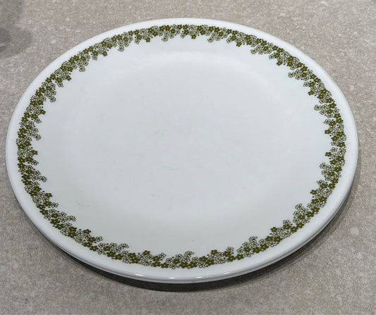 Set of 2 Corelle Dinner Plates