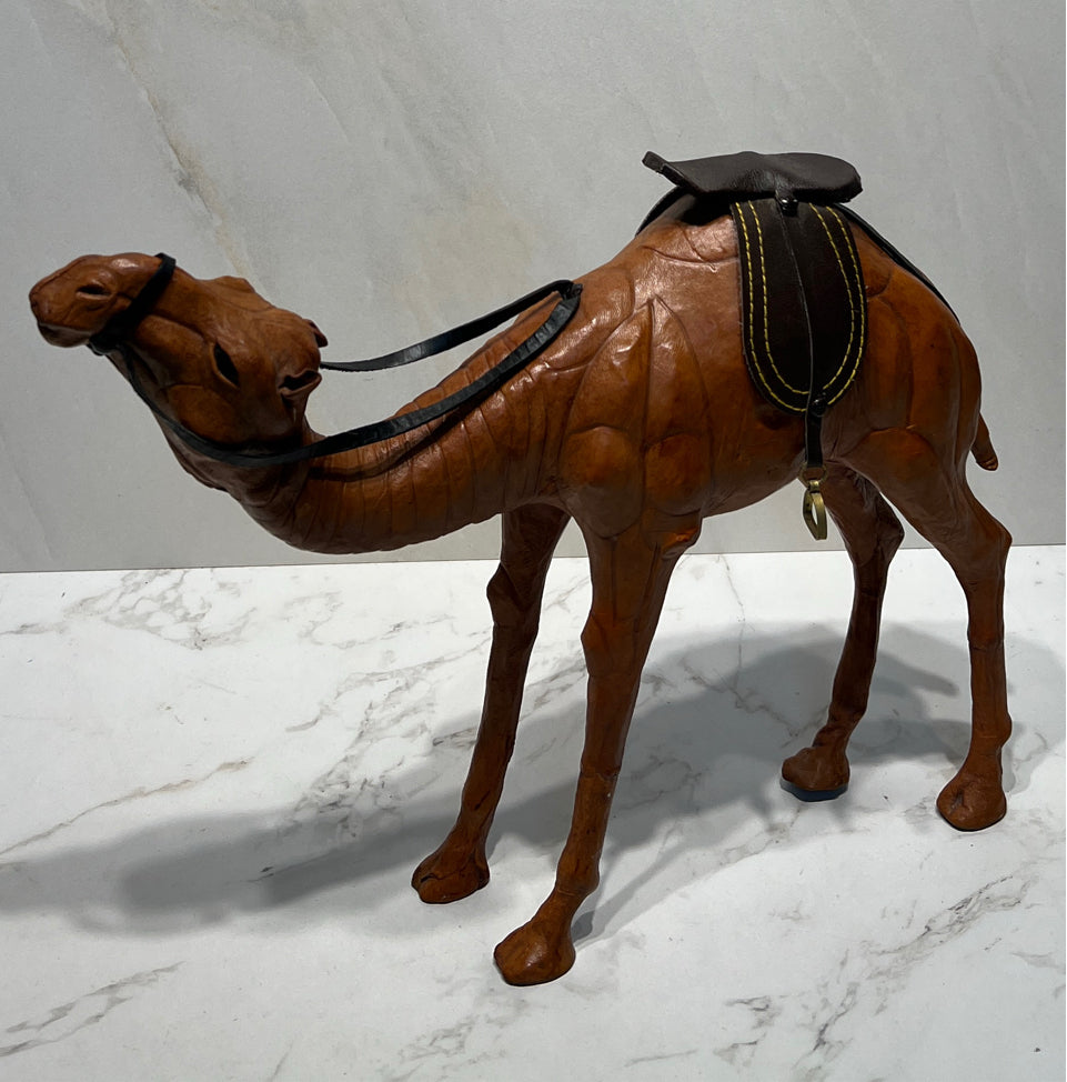 Camel