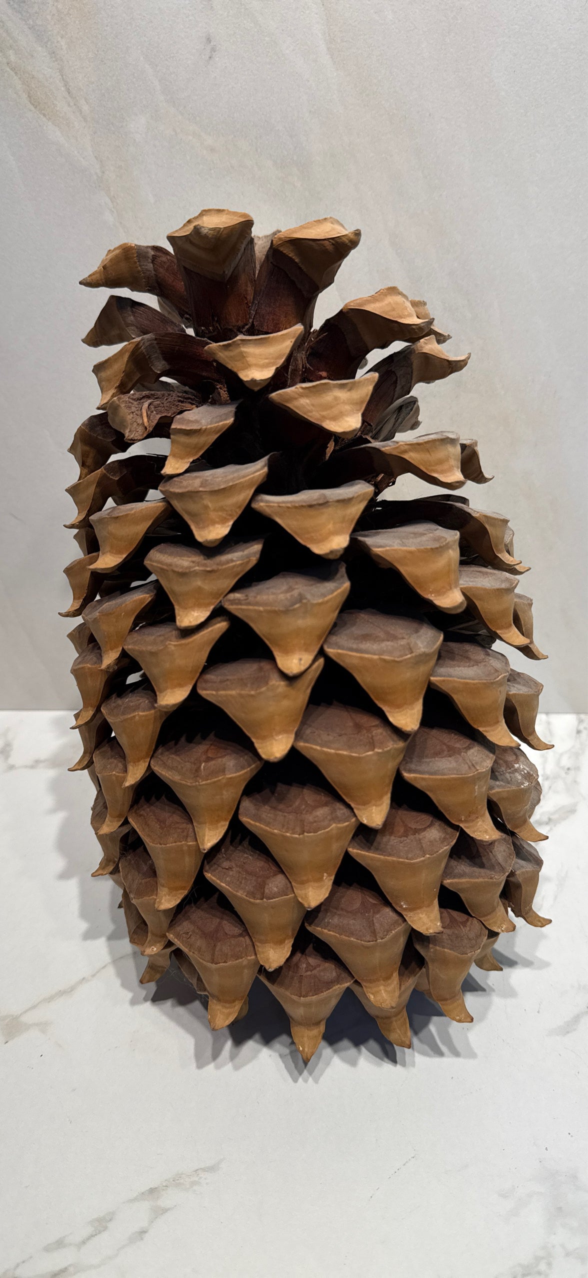 Pinecone Decor