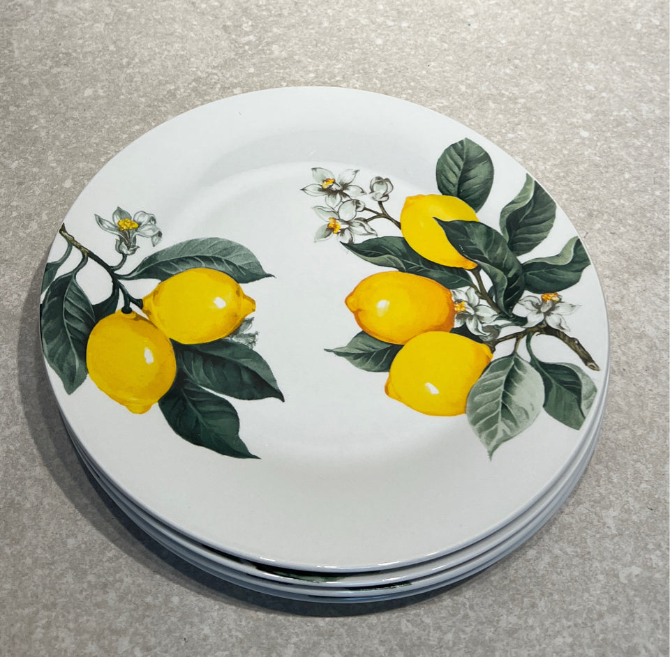 Set of 4 Dinner Plates