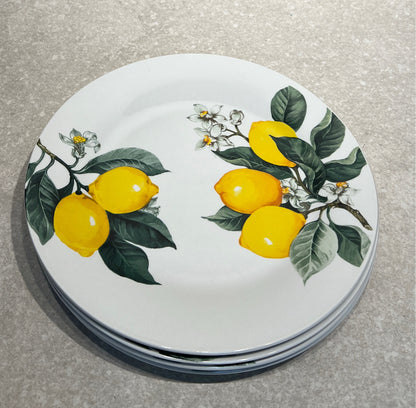 Set of 4 Dinner Plates