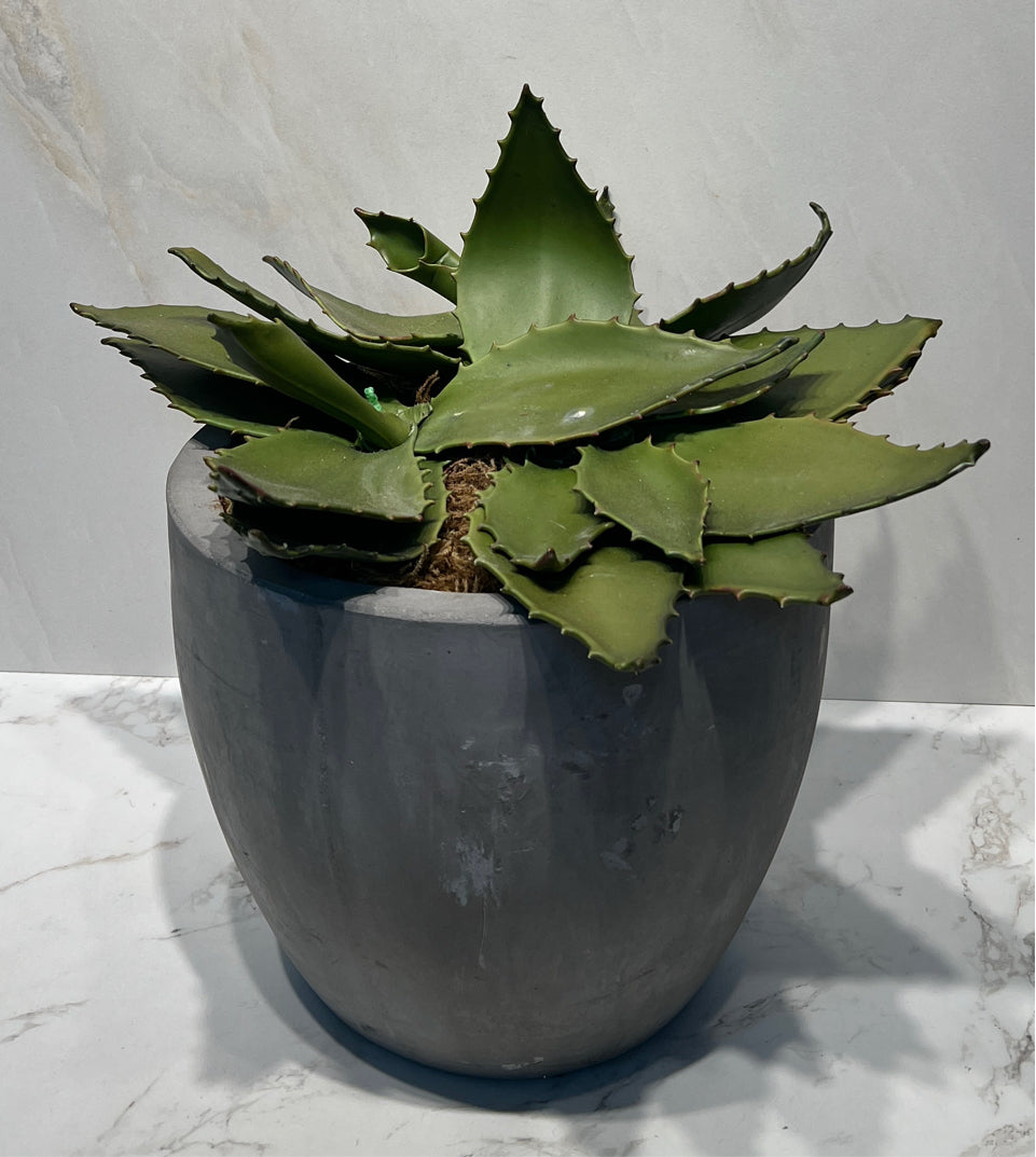 Artifical Decor