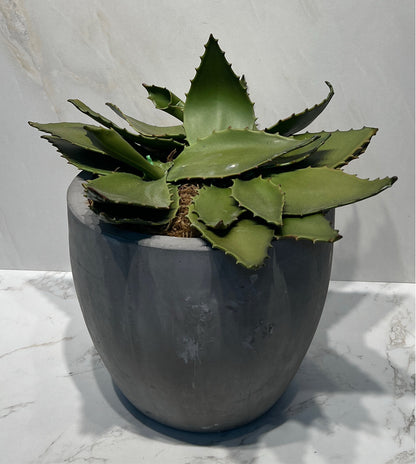 Artifical Decor