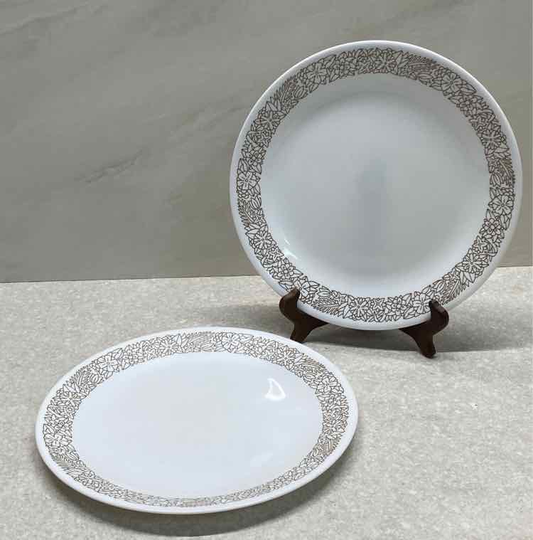 Set of 2 Corelle plates