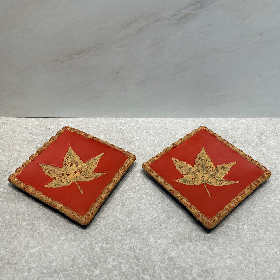 Set of 2 leaf Plates