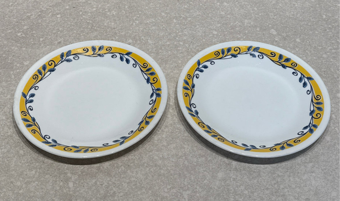 Set of 2 Corelle Plates