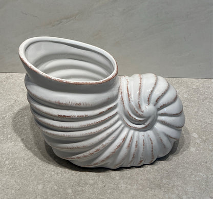 Shell Decor