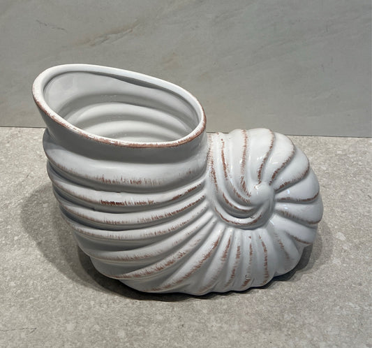 Shell Decor