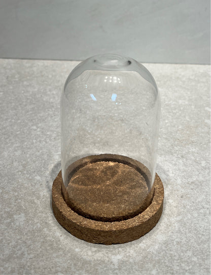 Cloche With Cork Base