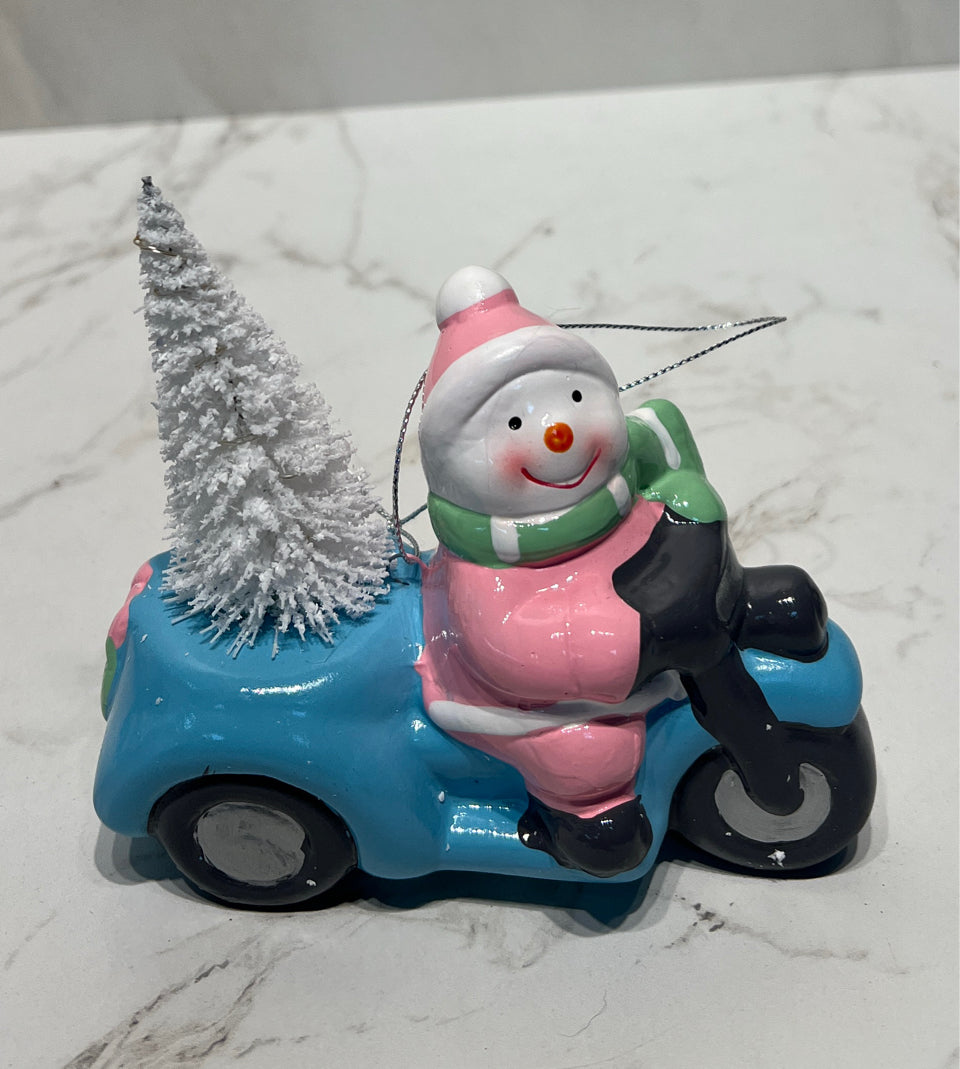 Lighted Ornament