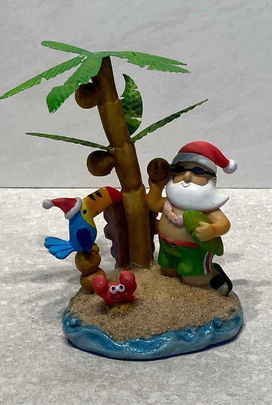 Santa at the Beach
