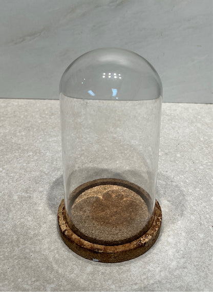 Cloche With Cork Base