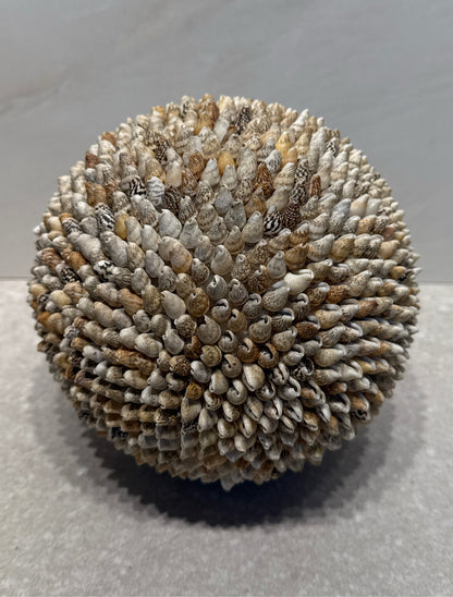 Shell Ball