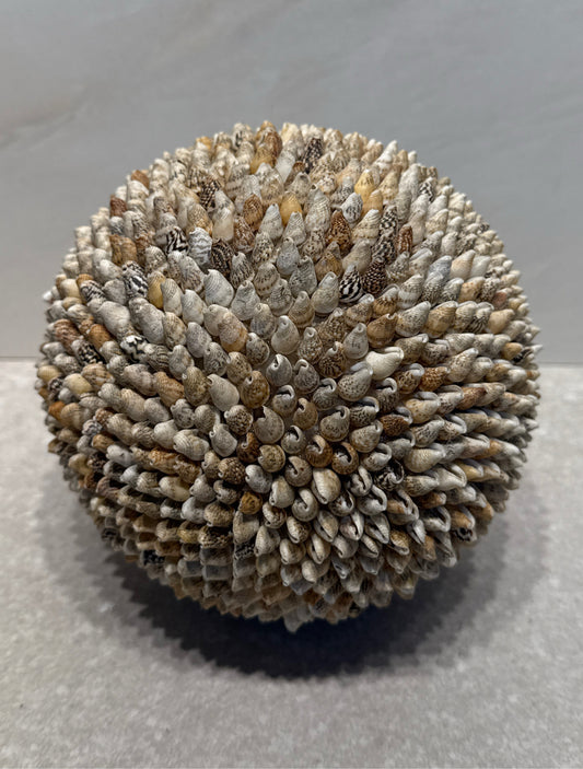 Shell Ball