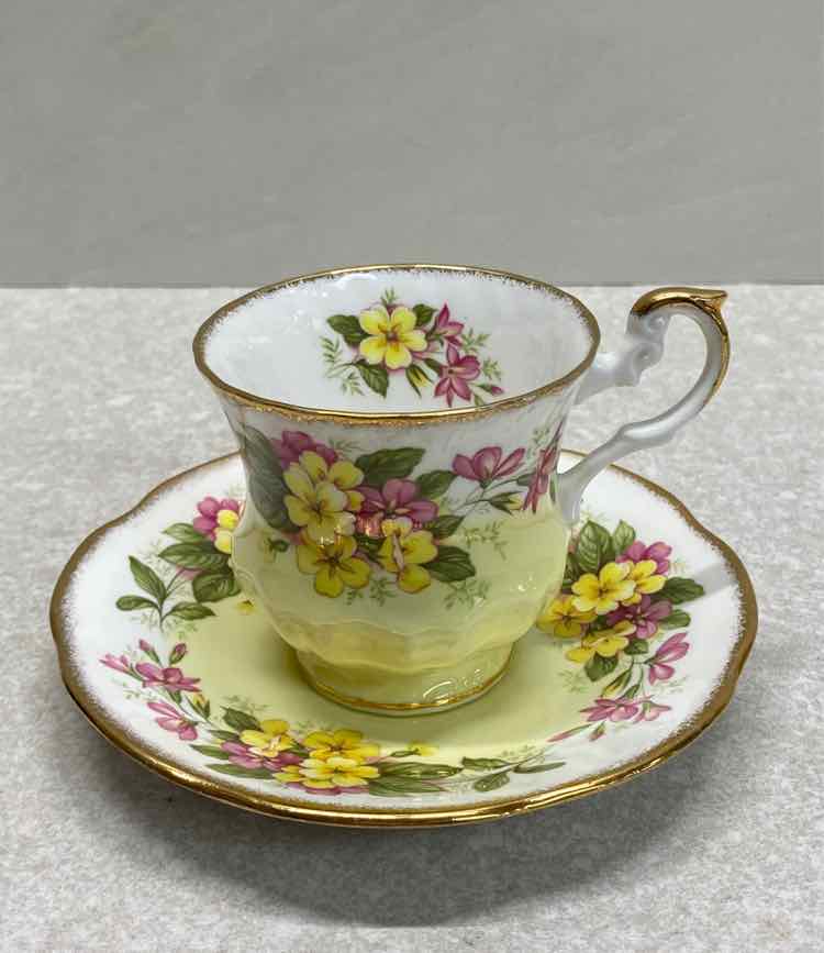 Cup And Saucer