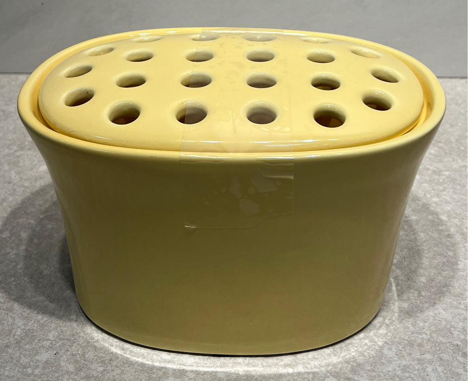 Planter with Frog Insert