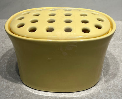 Planter with Frog Insert