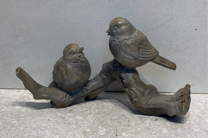 Birds