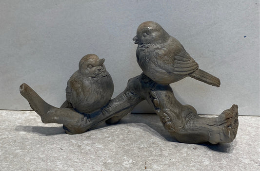Birds