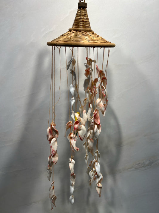 Shell Hanging Decor