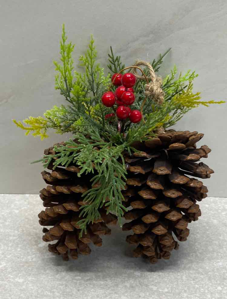 Christmas Pine cones