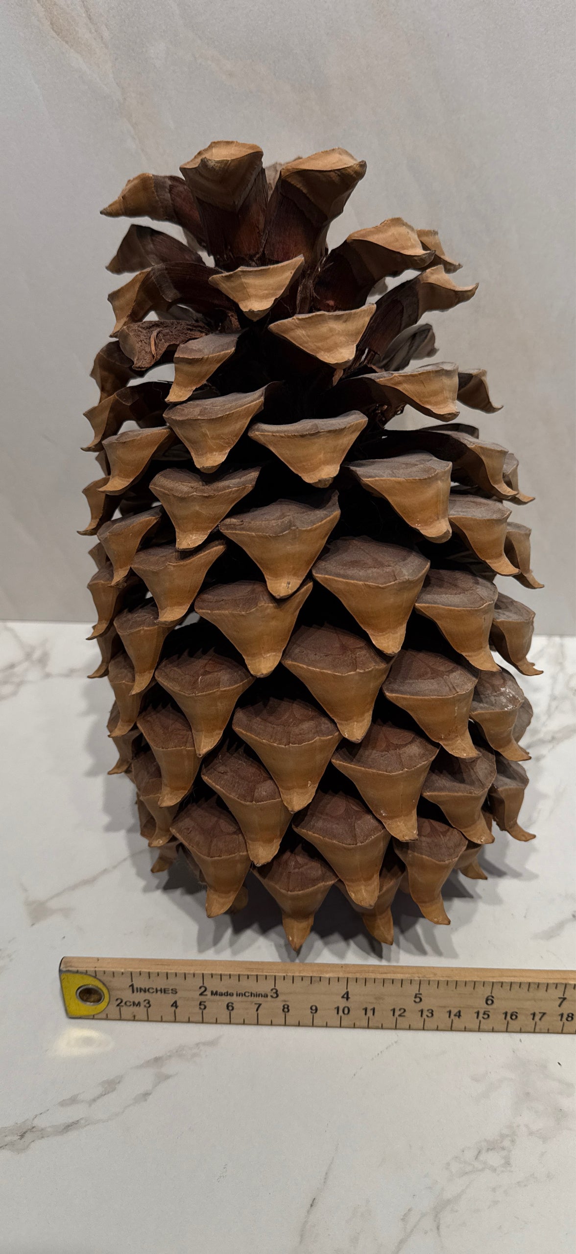 Pinecone Decor