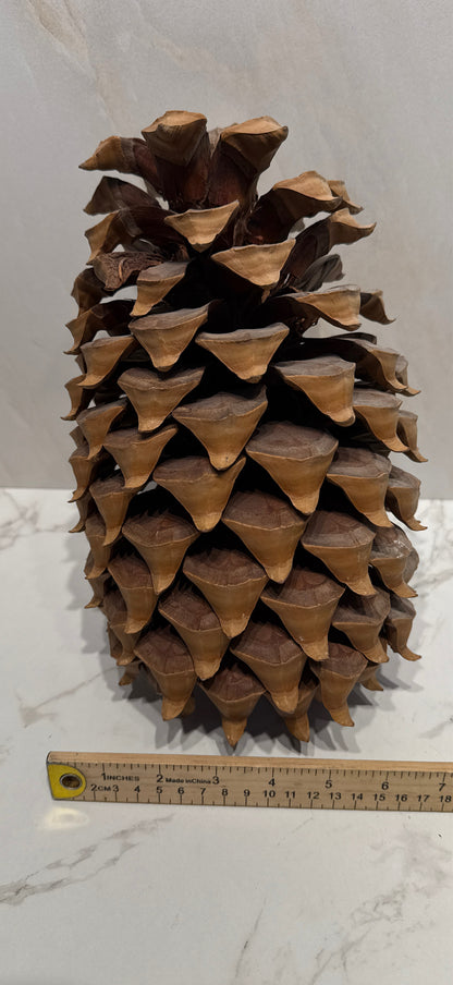 Pinecone Decor