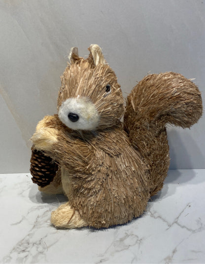 Squirrel