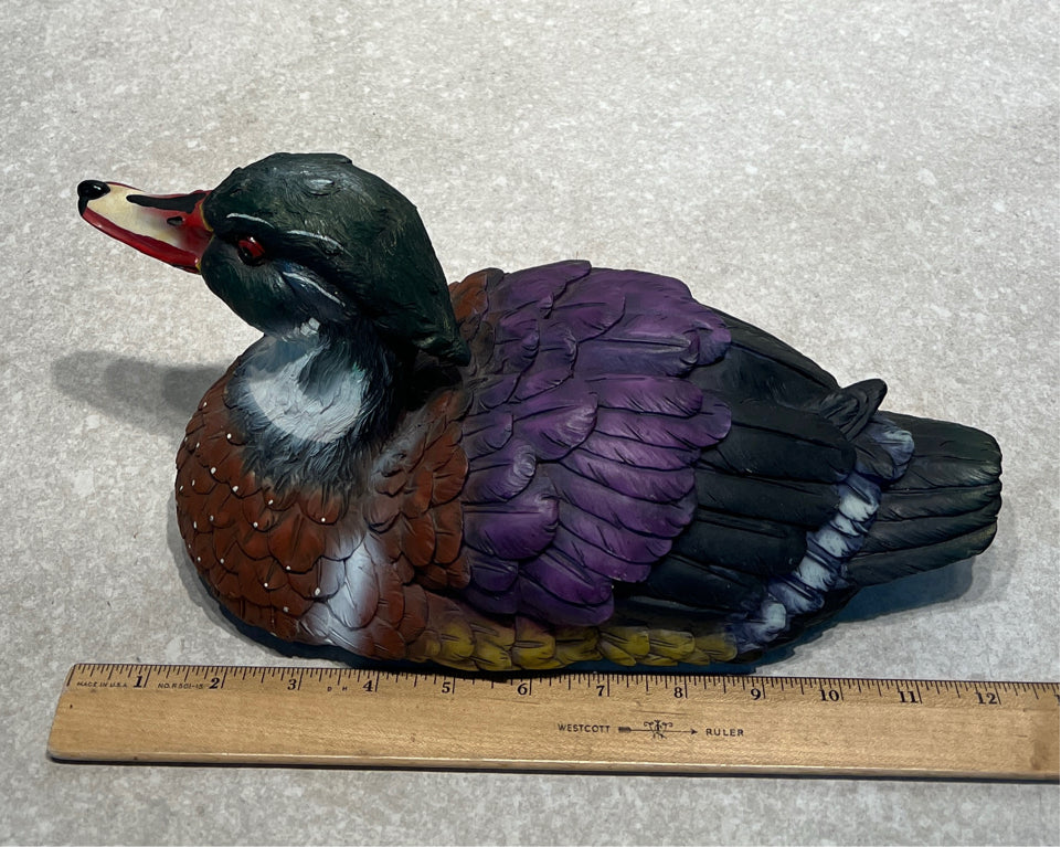 Duck