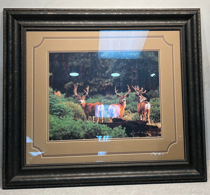 Wall Decor