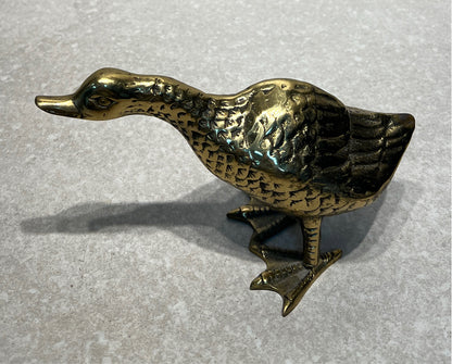 Brass Duck