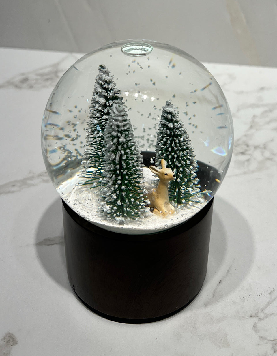 Snow Globe