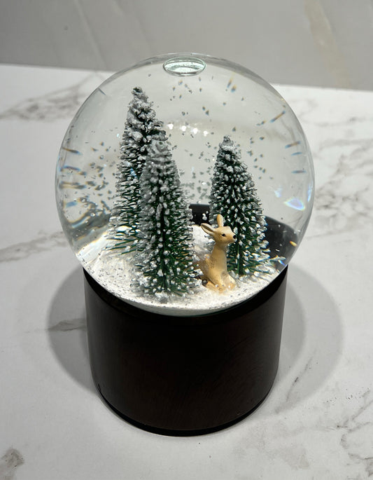Snow Globe