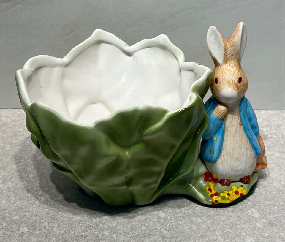 Beatrix Potter Rabbit
