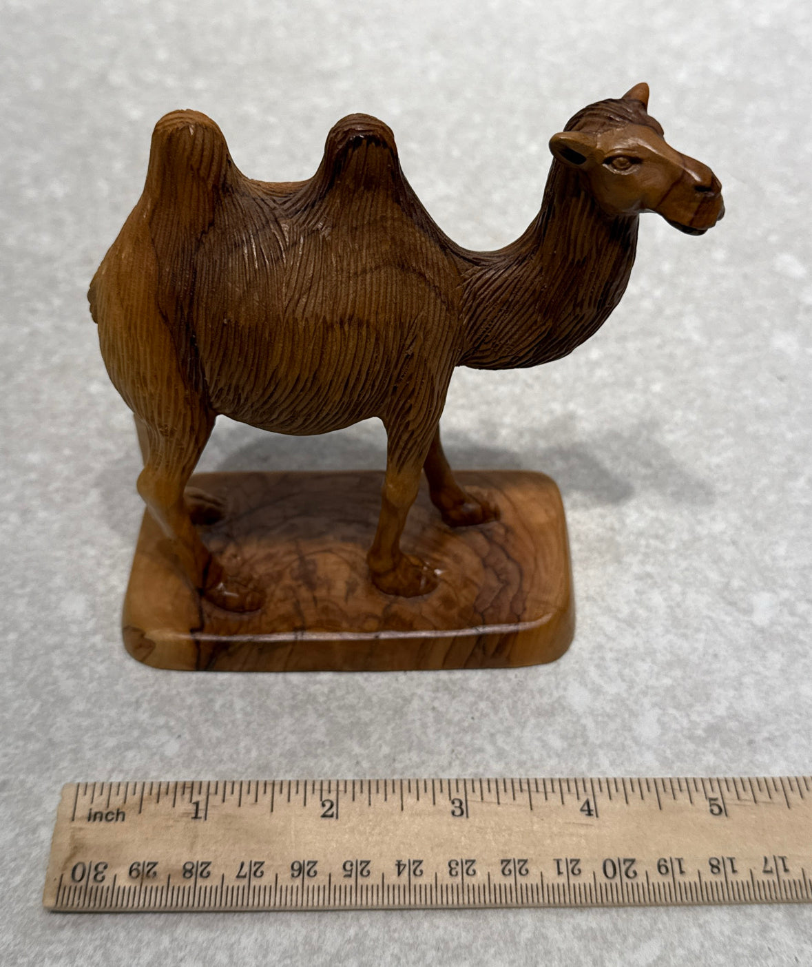 Camel