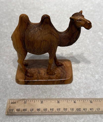Camel